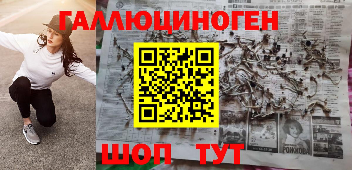 Анжеро-Судженск  Галлюциногенные грибы Magic Shrooms  Вход с VPN 