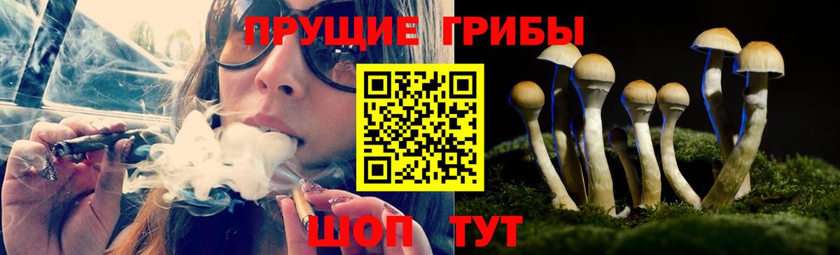 Псилоцибиновые грибы мицелий Анжеро-Судженск